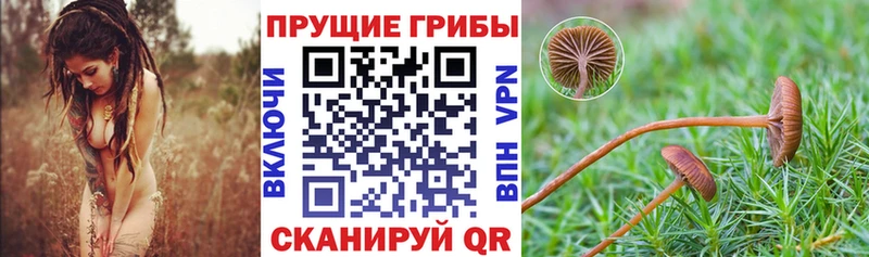 Псилоцибиновые грибы ЛСД  Касимов 